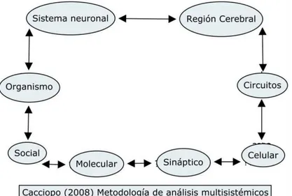 Figura 1. Metodología de análisis multisistémicos integrativos. 