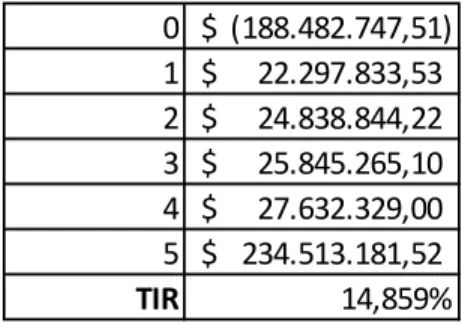 Tabla 11: Determinación TIR – EGOB Consultoría SAS 