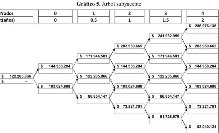 Gráfico 5. Árbol subyacente