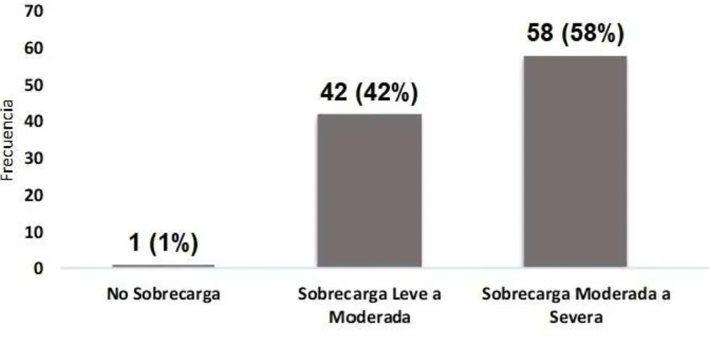 Gráfico 1. Niveles de carga del cuidador 
