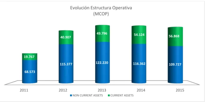 Figura 10. Estructura Financiera
