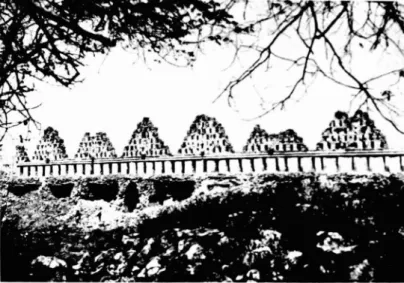 Foto del au tor,