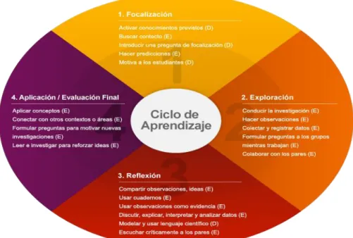 Figura 1. Ciclo de aprendizaje  