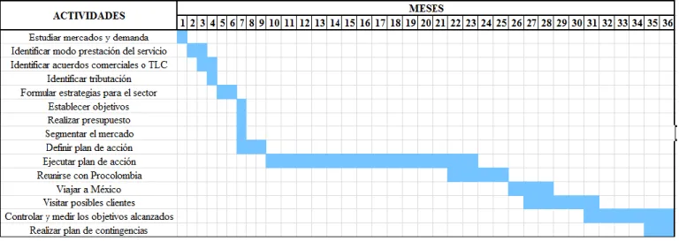 GRÁFICO 12 