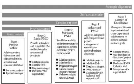 Figura 4. Etapas o tipos de PMO