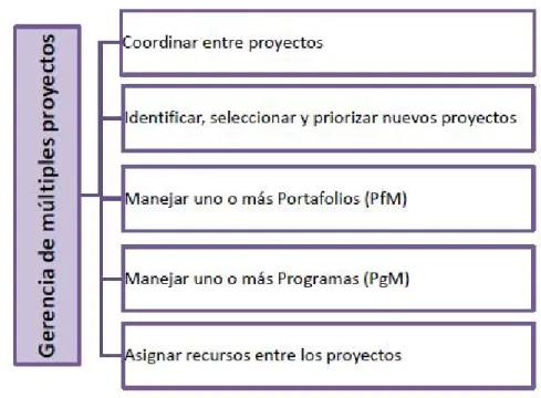 Figura 10. Gerencia de múltiples proyectos
