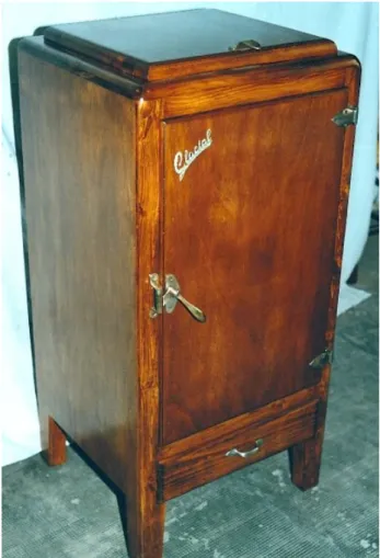 Fig. 4. Nevera de la marca “La Glacial” 