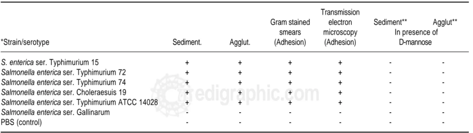 Table 2. Sedimentation, agglutination and adhesion assay protocol standardization.