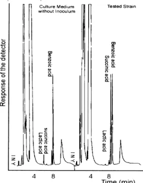 Fig. 7.  Chro matographic profile of non volatile organic  acids produced by tested strain, ENCB 1003 