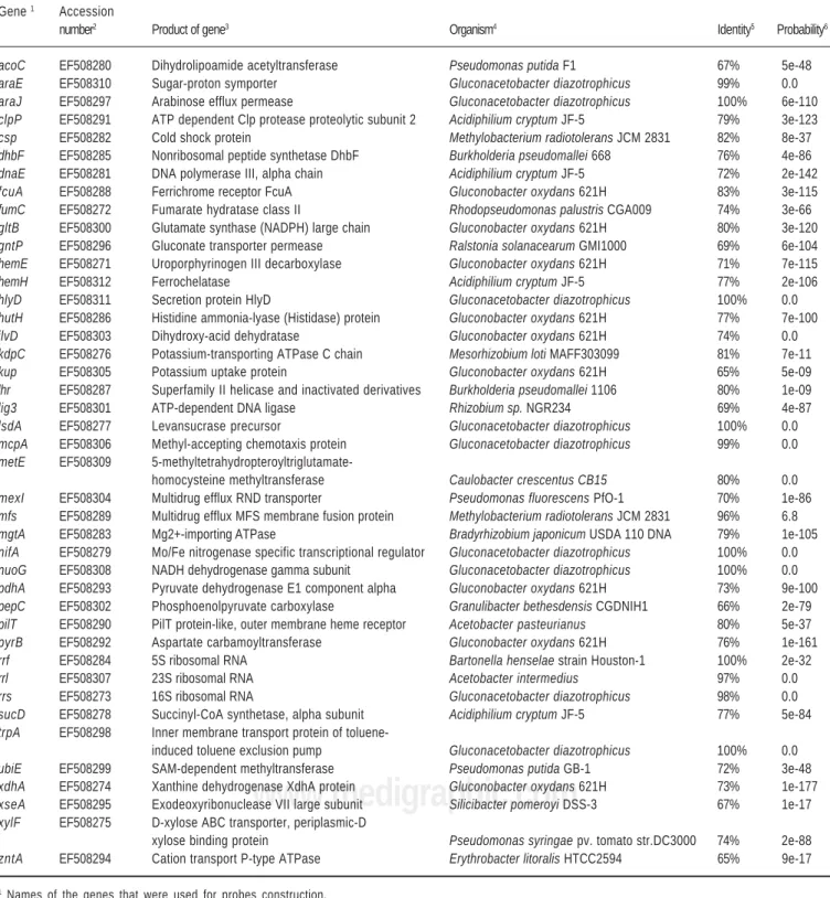 Table 2.  Description of the  rrn  and single copy gene probes used for construction of the  Gluconacetobacter diazotrophicus  PAL5 chromosome physical map.