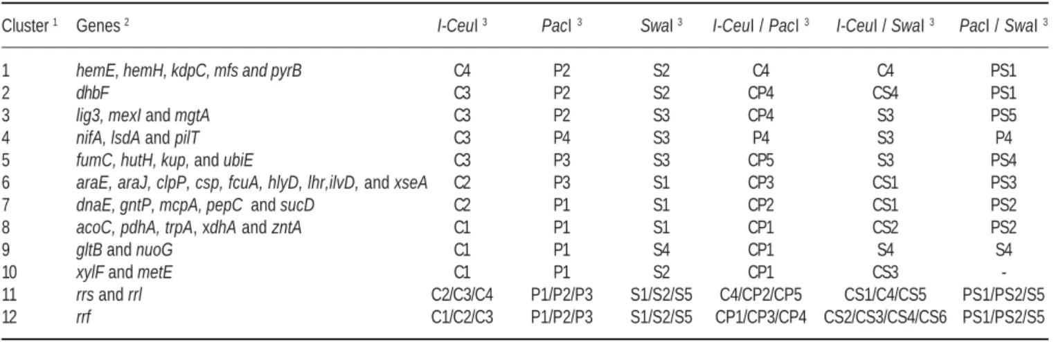 Figure 3. Physical map of  Gluconacetobacter diazotrophicus  PAL5 chromosome using the  I-CeuI ,  PacI  and  SwaI  restriction enzymes