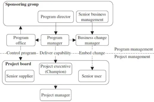 Figura 3. Gobernabilidad en proyectos y programas. 