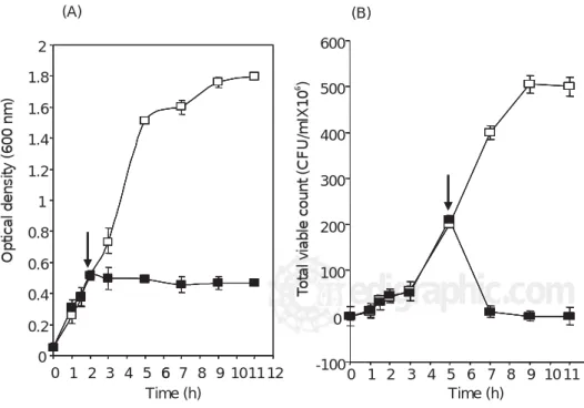 Figure 3. Effect of  Lactobacillus acido- acido-philus  AA11 bacteriocin on the growth of