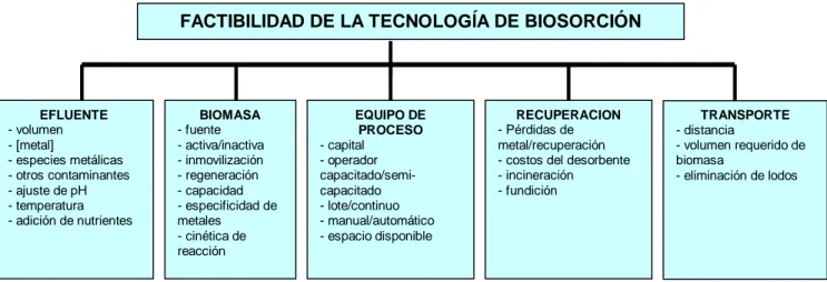 Figura 6. Consideraciones relacionadas con la factibilidad de un biosorbente para la eliminación de metal (es) de afluentes  contaminados