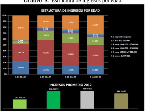 Gráfico  5.  Estructura de ingresos por edad 