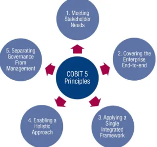 Figura 6. Principios COBIT 5 