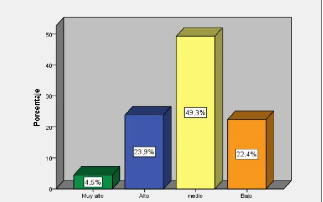 Figura 6. Nivel de logros de aprendizaje 