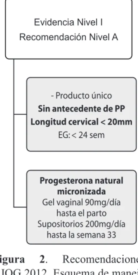 Figura 3. Recomendaciones 