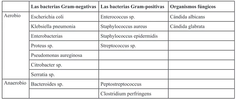 Cuadro 2   -  Aislamientos microbiológicos comunes en la Necrosis Pancreática Infectada.