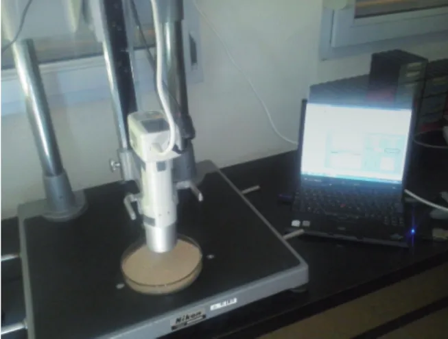 Figure 3. Setup of the device for the color measurements.