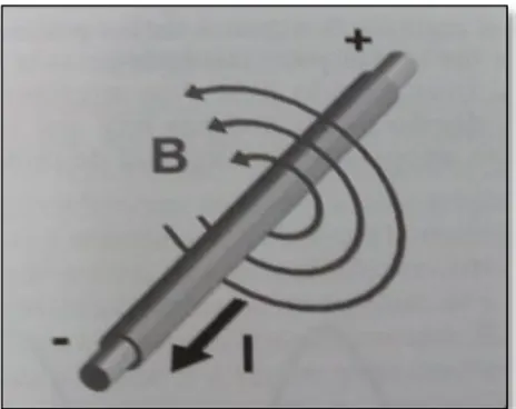 Figura 7 .  Campo magnético inducido por una corriente eléctrica. 