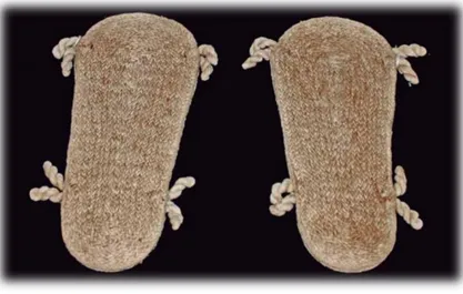 Figura 3. Sandalias, trenza plana en fibra vegetal y pasadores de algodón, estilo Ychsma