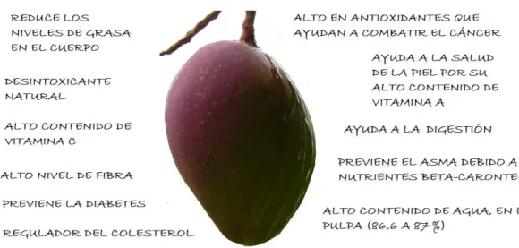 Figura 5. Beneficios del mango 