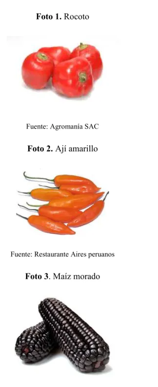 Foto 1. Rocoto 