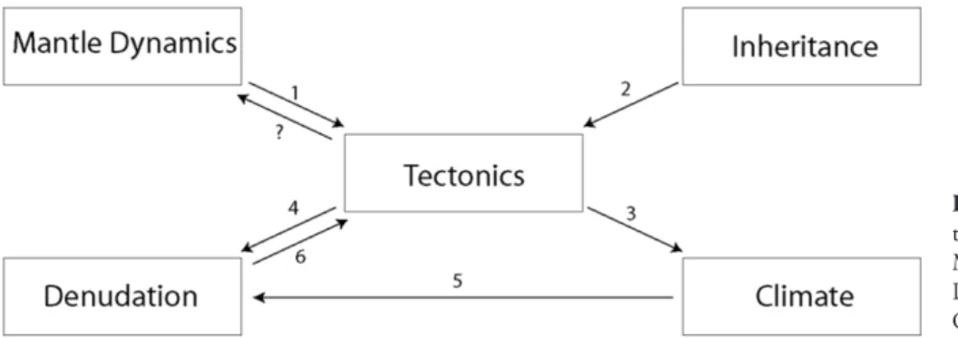 Figure 1. Primary feedback rela-
