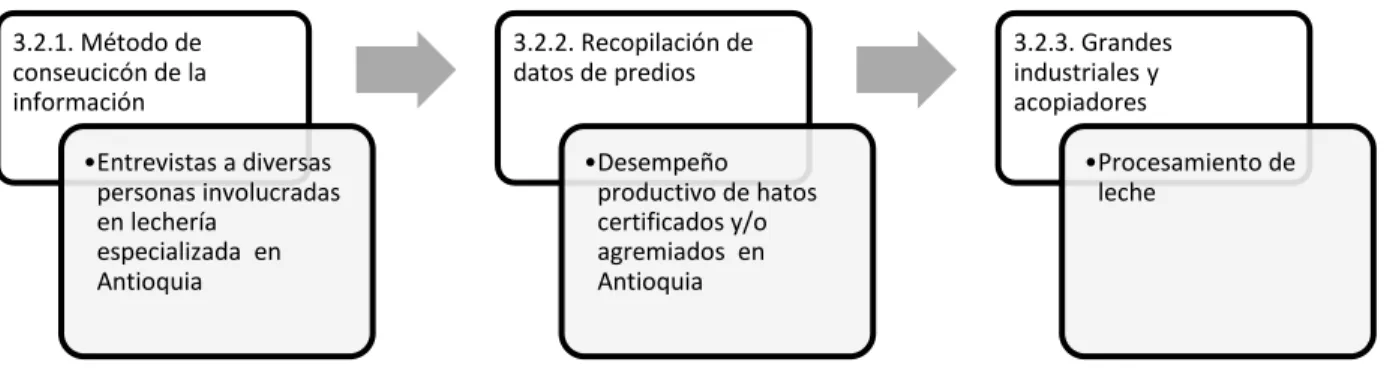 Ilustración 5. Sistema de producción de leche en Antioquia  