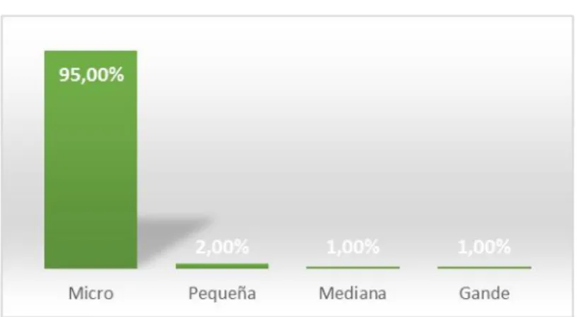 Figura 2. Tamaño porcentual de las pymes en Colombia 