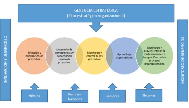 Figura 4: Mapa de procesos PMO Rincco S.A.S. 
