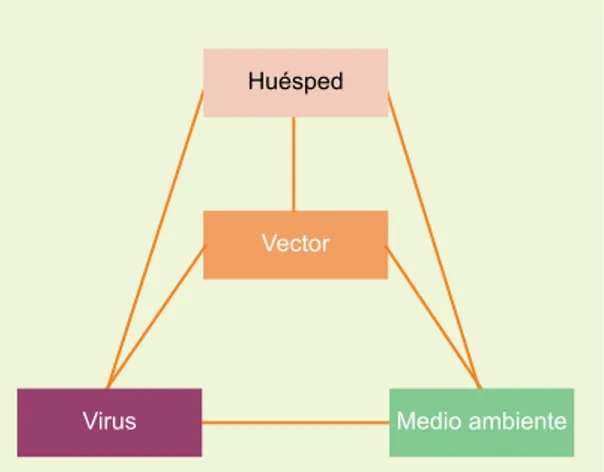 Figura 1  Enfermedades virales y la triada epidemiológica