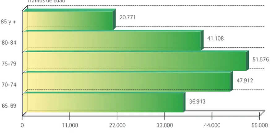 GRáFICO 13