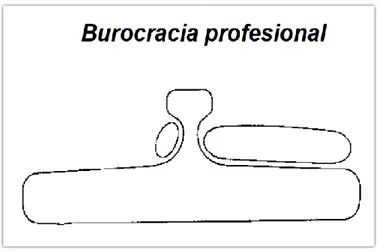 Ilustración 4. Burocracia profesional 