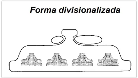 Ilustración 5. Forma divisionalizada 