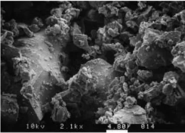 Figura 2. Micrografía por microscopio electrónico de barrido de partículas de escoria con aumento de 