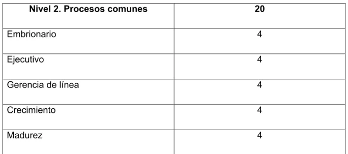 Tabla 4 Nivel 2. Procesos Comunes 