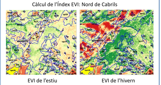 Figura 14. Classificació de l’EVI a l’estiu i a l’hivern a una part de la Serralada Litoral, al nord de Cabrils 