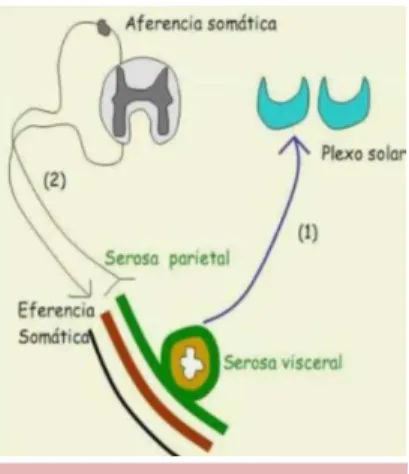 Figura 13. Esquema representativo 