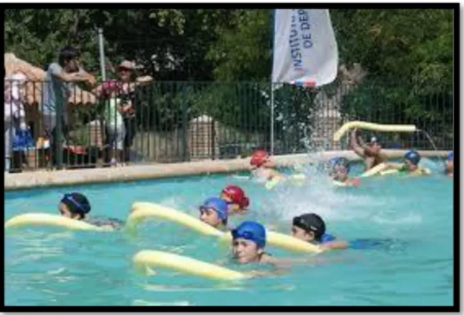 Figura 3. Importancia de la natación.  