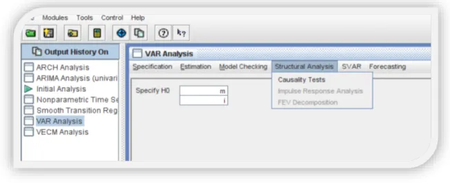 Figura 4. Determinación de expectativas, modelo VAR, Software J-multi, paso 4 