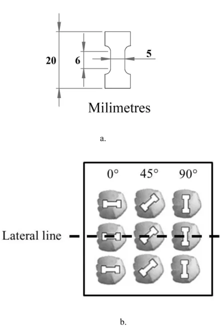 Figure 4. Specimens for tensile tests. a. The specimen geometry b. Orientations studied