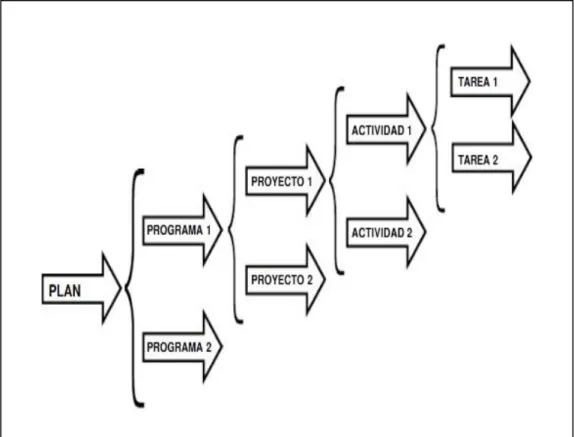 Figura 1. Disimilitud entre plan, programa, proyecto, actividad y tarea 