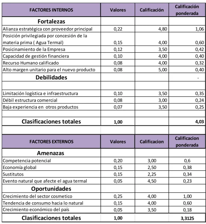 Tabla 6. Matriz de análisis DOFA 