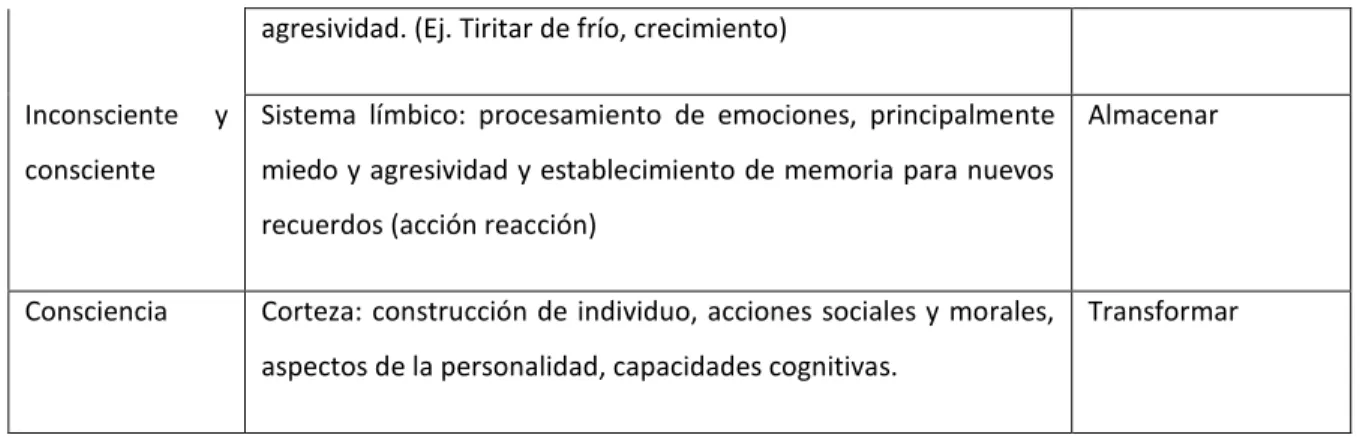 Gráfico 9. Esquema de funciones. Caja transparente del cerebro 