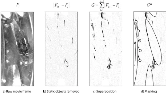Figure 7. Implemented image processing for tuft visualization. a) Typical frame from high speed movie