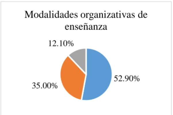 Figura 3. Modalidades organizativas de enseñanza