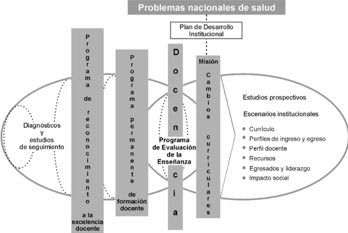 Figura 1. Plan para la Atención Integral de la Docencia en la Facultad de Medicina, Universidad Nacional Autónoma de México