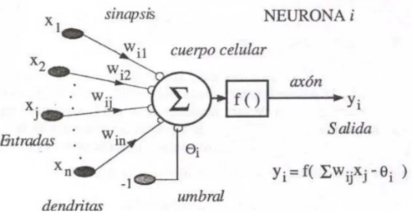 Figura 3.1. Neurona Artificial